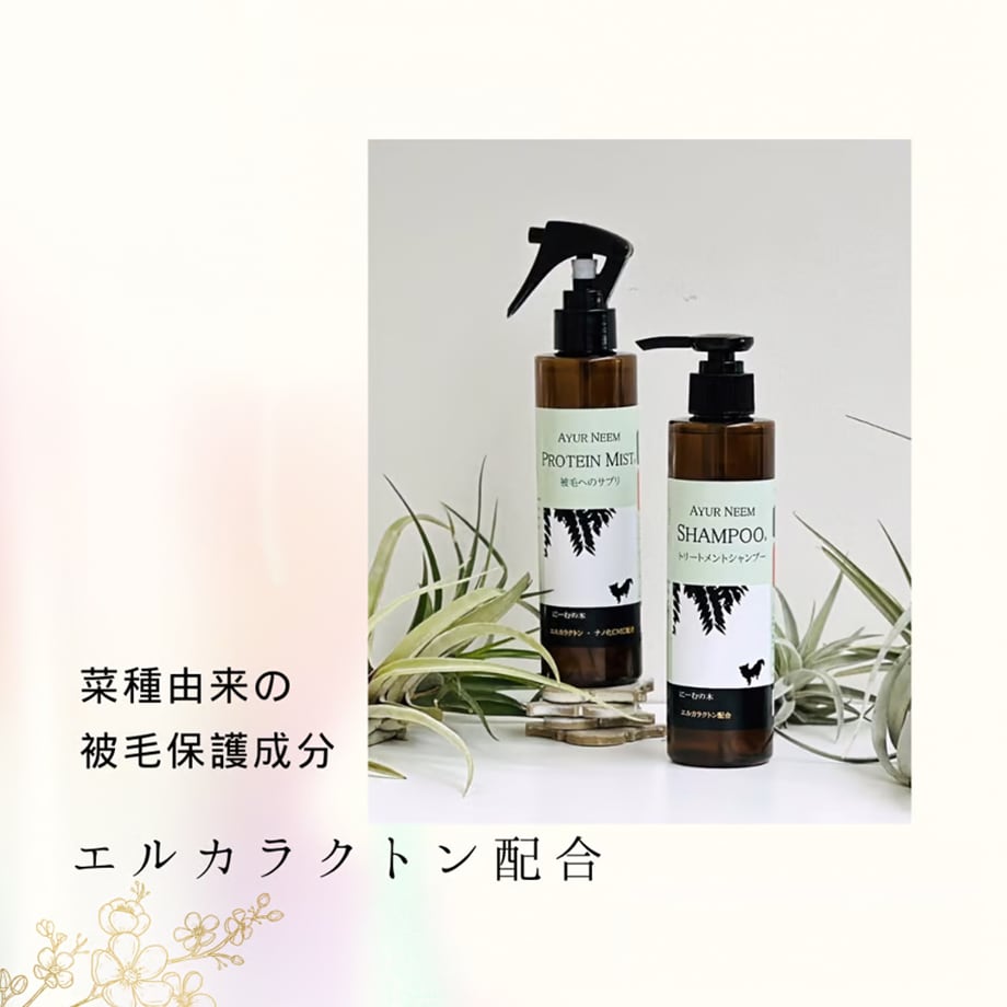 BLOOM（ブルーム） プロテインミスト 3L詰替用パウチ | mofootpet モ