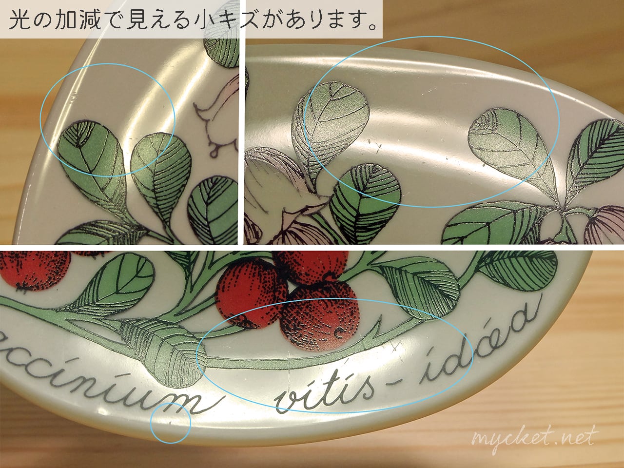 アラビア ボタニカプレート コケモモ 【公式通販】