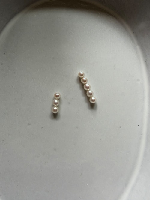 Vertical Asymmetry Pearl pierce(K18YG)