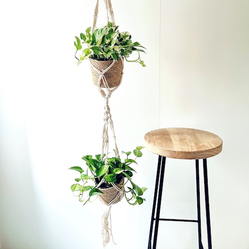 ポトス２種＆マクラメハンガー＆鉢カバーセット calm cafeオリジナル