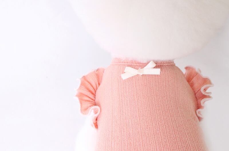 【SALE】  spring frill top S ~ XL 3color / ワンコ服 犬服 新作 可愛い 犬の服 お出かけ ペット洋服 春夏 ドッグウェア