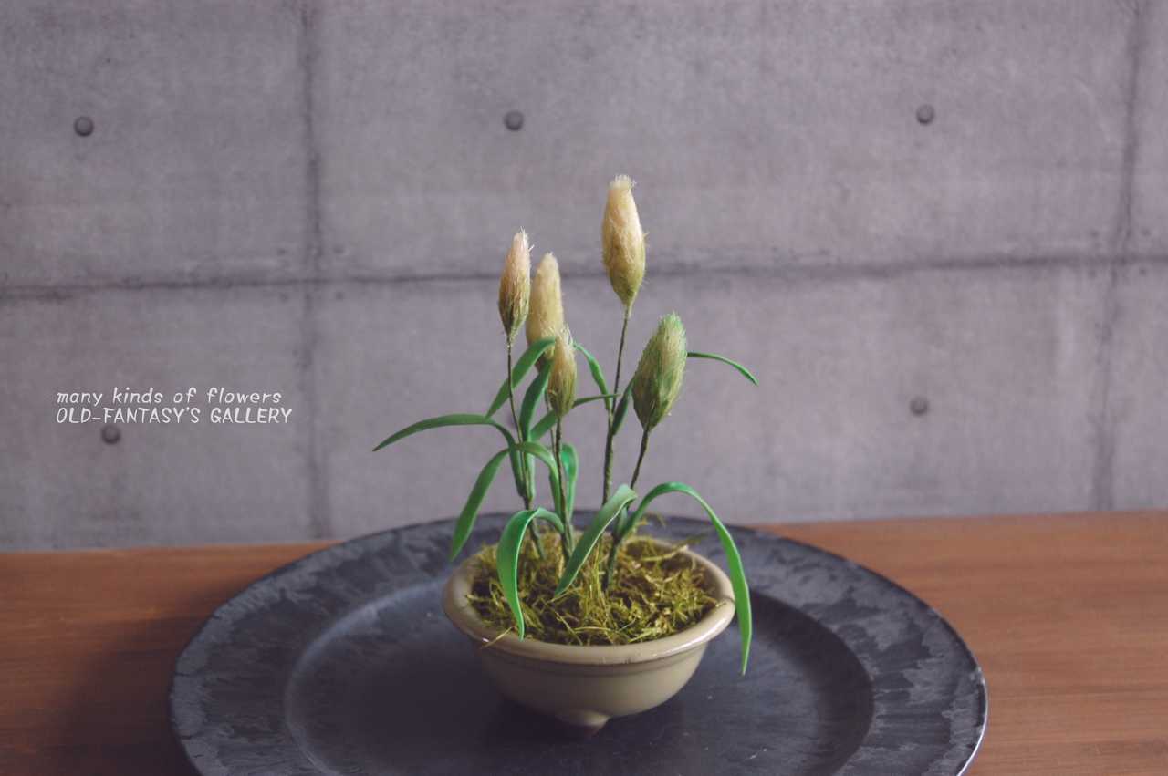 ◇粘土のお花◇ エノコログサ（猫じゃらし）鉢植え 高さ約16センチ