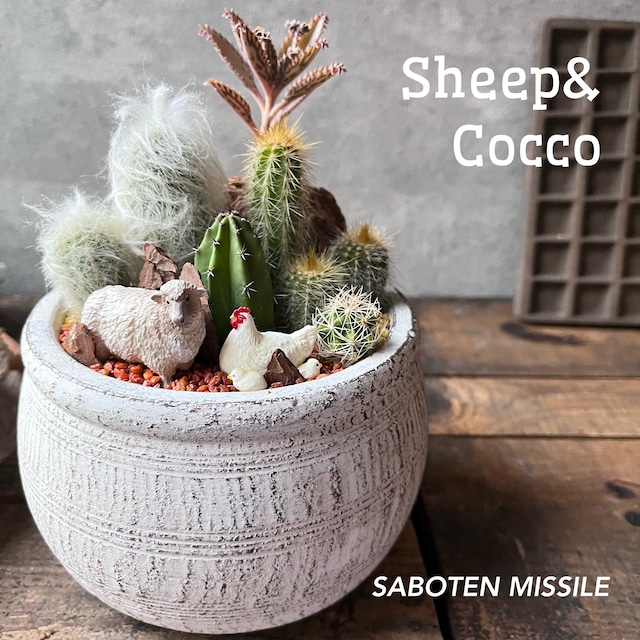 Sheep&Cocco