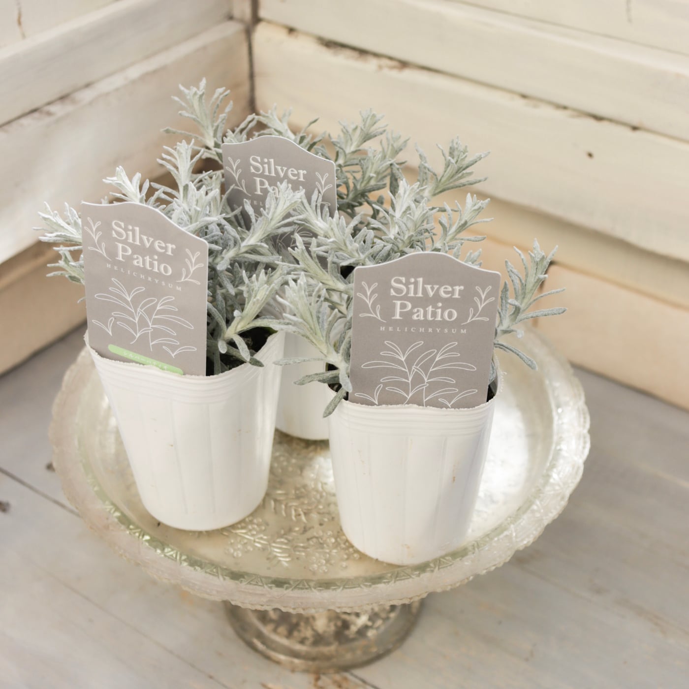 Green heartꕥオンラインショップ