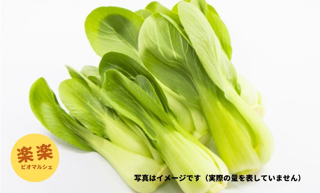 ミニチンゲン菜