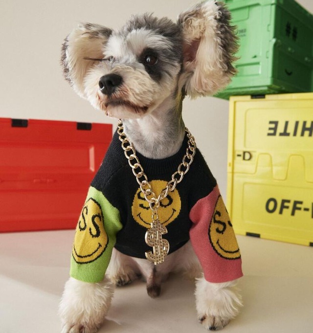 《予約》1102726 ギャングスタラッパーセーター