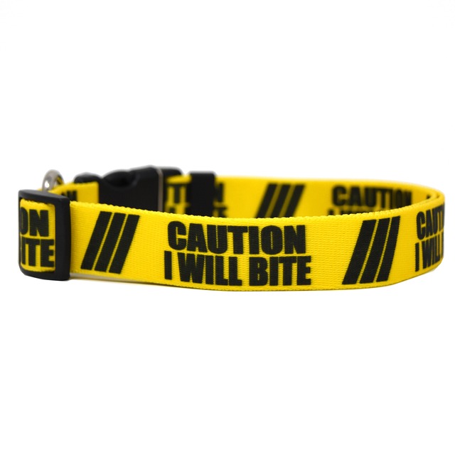 2 インチ CAUTION IWB　首輪＋リードセット Mサイズ - Yellow Dog Design