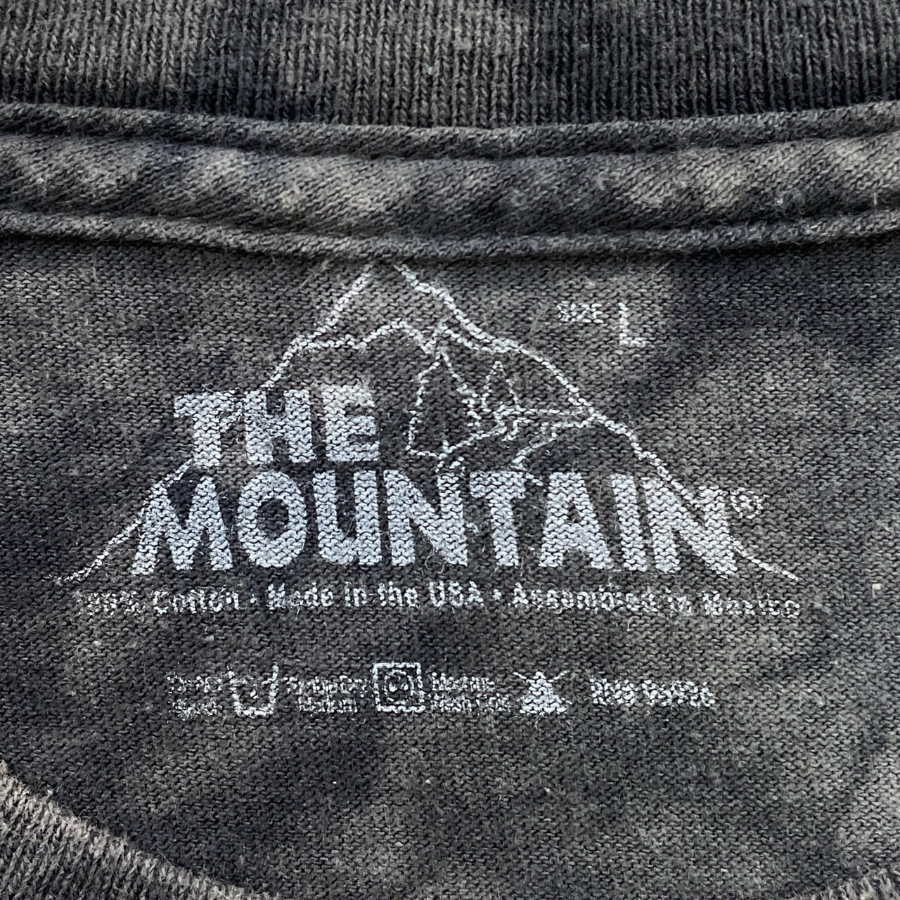THE MOUNTAIN T-REX ティラノサウルス 恐竜 タイダイ Tシャツ