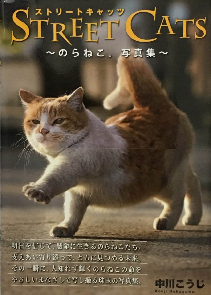 STREET CATS ～のらねこ。写真集～（写真集） | 猫本サロン 京都三条サクラヤ powered by BASE