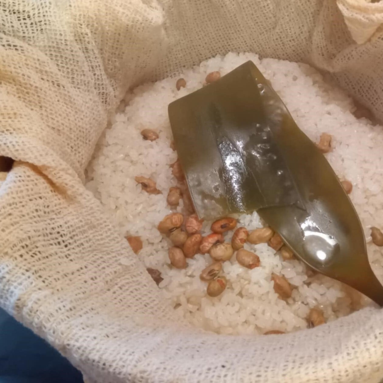 大豆】FarmShida 煎り大豆 300g | 協同組合 人田畑