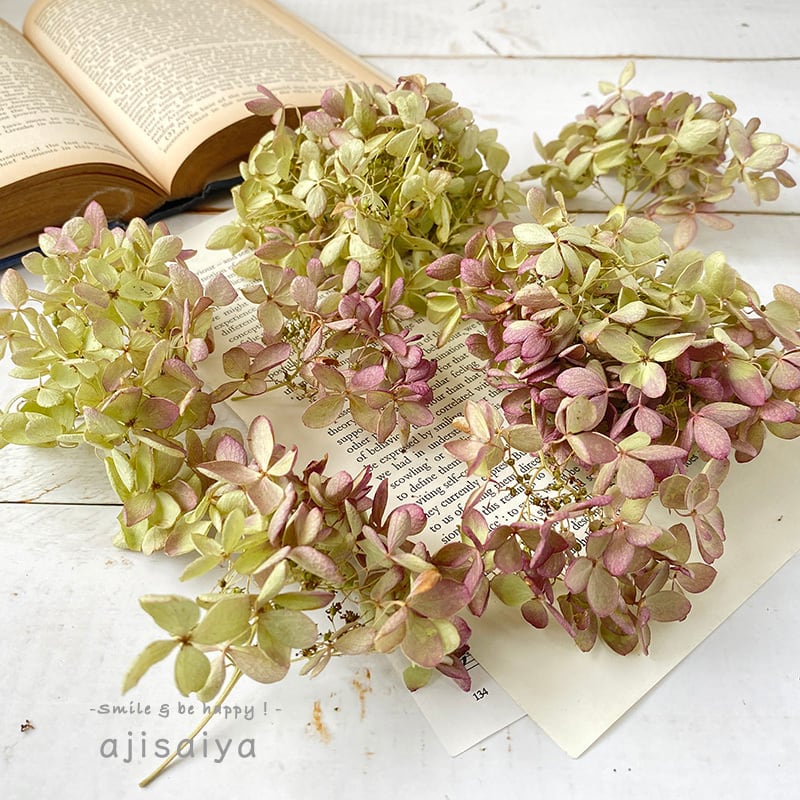 秋色紫陽花 ミナヅキのスワッグ ドライフラワー