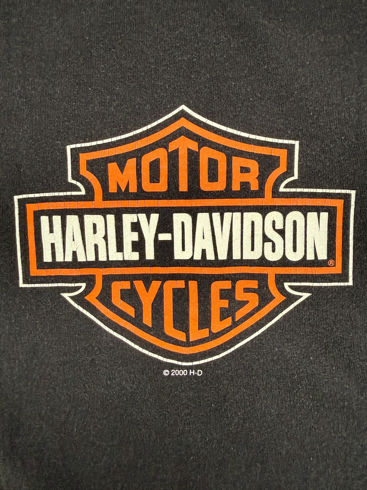 00s HARLEY-DAVIDSON Durango Colorado / タグ欠損・画像5