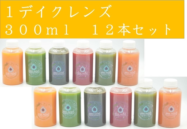 　2デイクレンズ【ボトル３００ml】（12本セット）