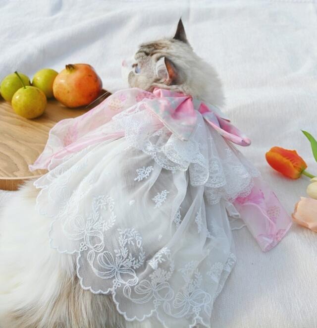 《予約》3101647 マーブルリボンフリルワンピース