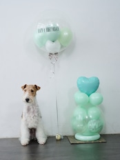 BUBBLE BALLOON sizeM ブルー