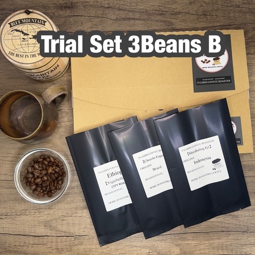 P CABIN トライアルセット3種豆 B（各100g 合計300g）【受注焙煎・自家焙煎コーヒー豆】（お試しセット）