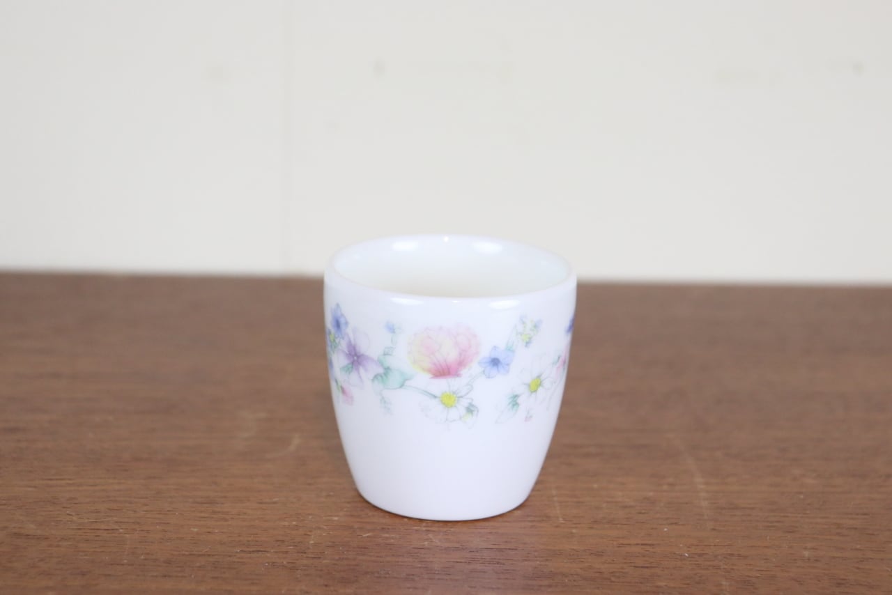 ウェッジウッド リッチフィールド デュオ カップ＆ソーサー ボタニカル