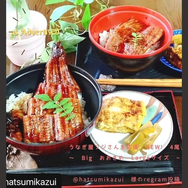 unagi　母の日　2021　お取り寄せ　ギフト　仁淀川　Big　たれ　4尾　引退　eel　graze-grilled　の日　うなぎ屋　父　大き目　プレゼント　セルフ　通販　急速冷凍　フジ　お歳暮　うなぎ屋フジさんを応援　高知県産うなぎ蒲焼4尾　国産　内祝い　退職祝い　NEW!　kabayaki　005-022】NEW!　Large　お返し