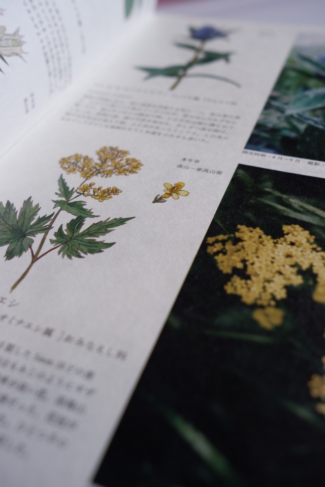 5th Anniversary book "FLOWER OF THE MOUNTAIN"