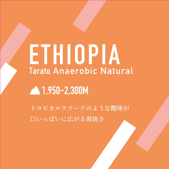 ETHIOPIA TARATU Anaerobic Natural