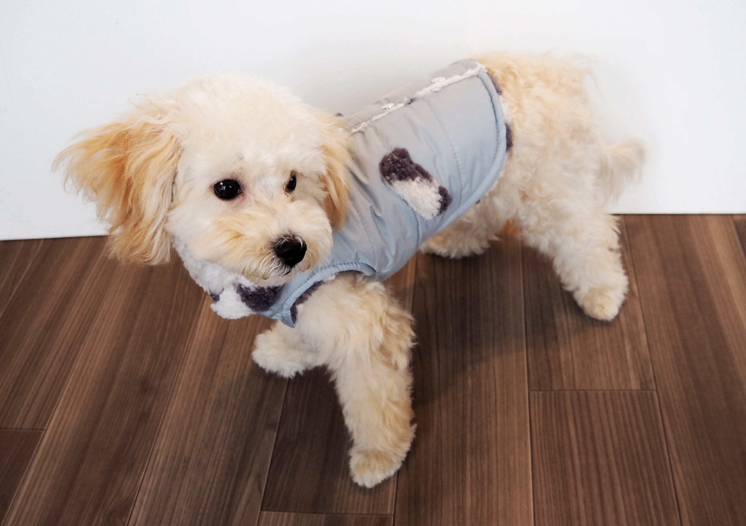 【ドッグウェア】おでかけベスト グレー/ブラック