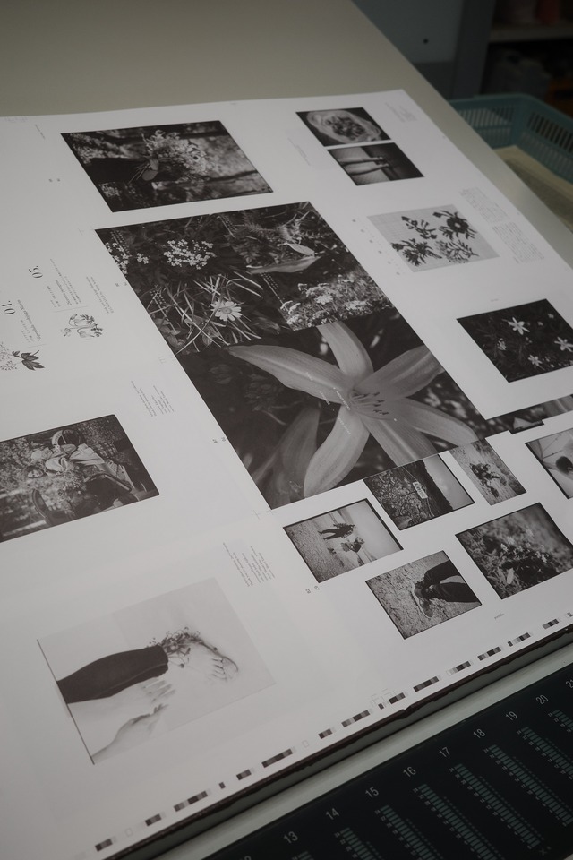 5th Anniversary book "FLOWER OF THE MOUNTAIN"