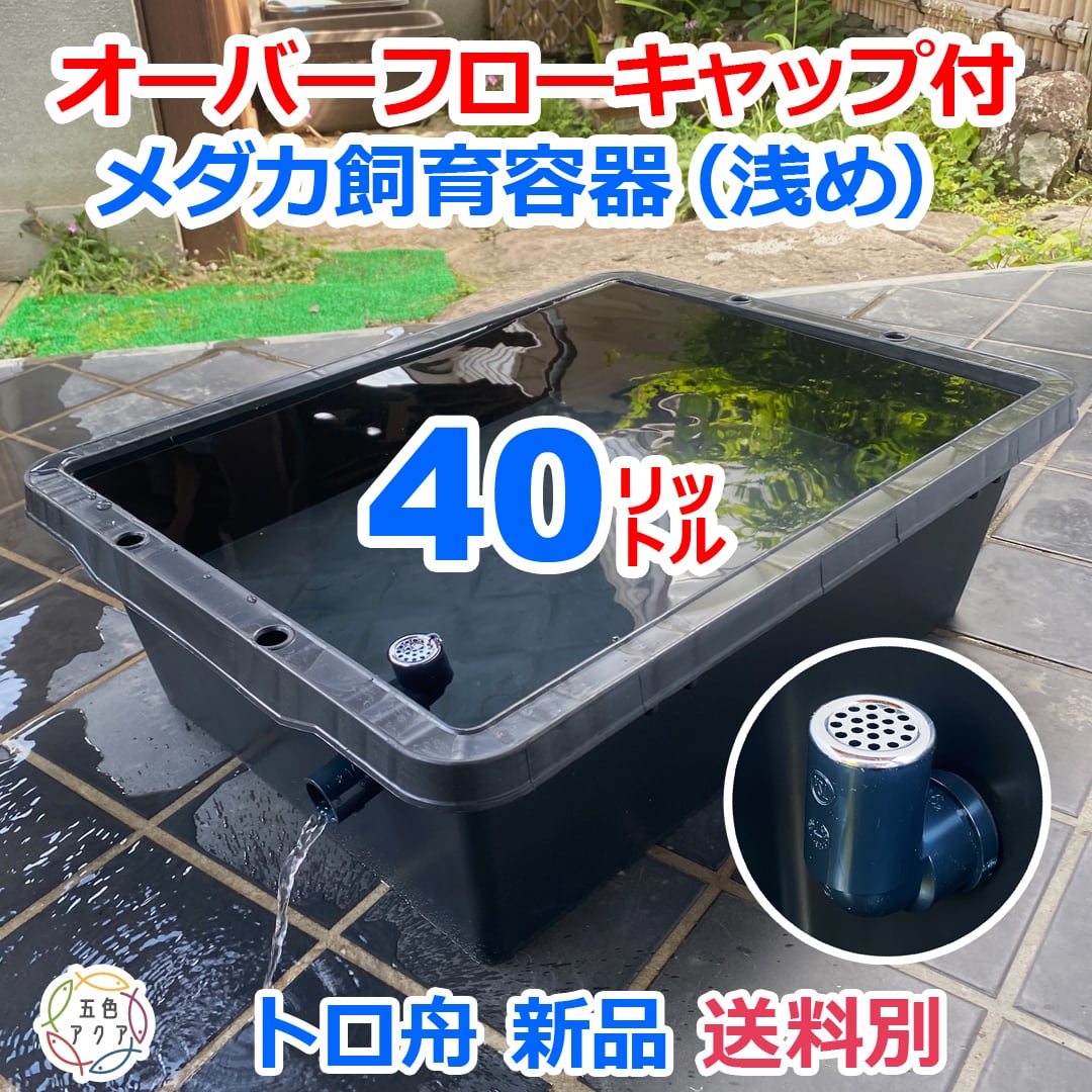 五色アクア BASE店