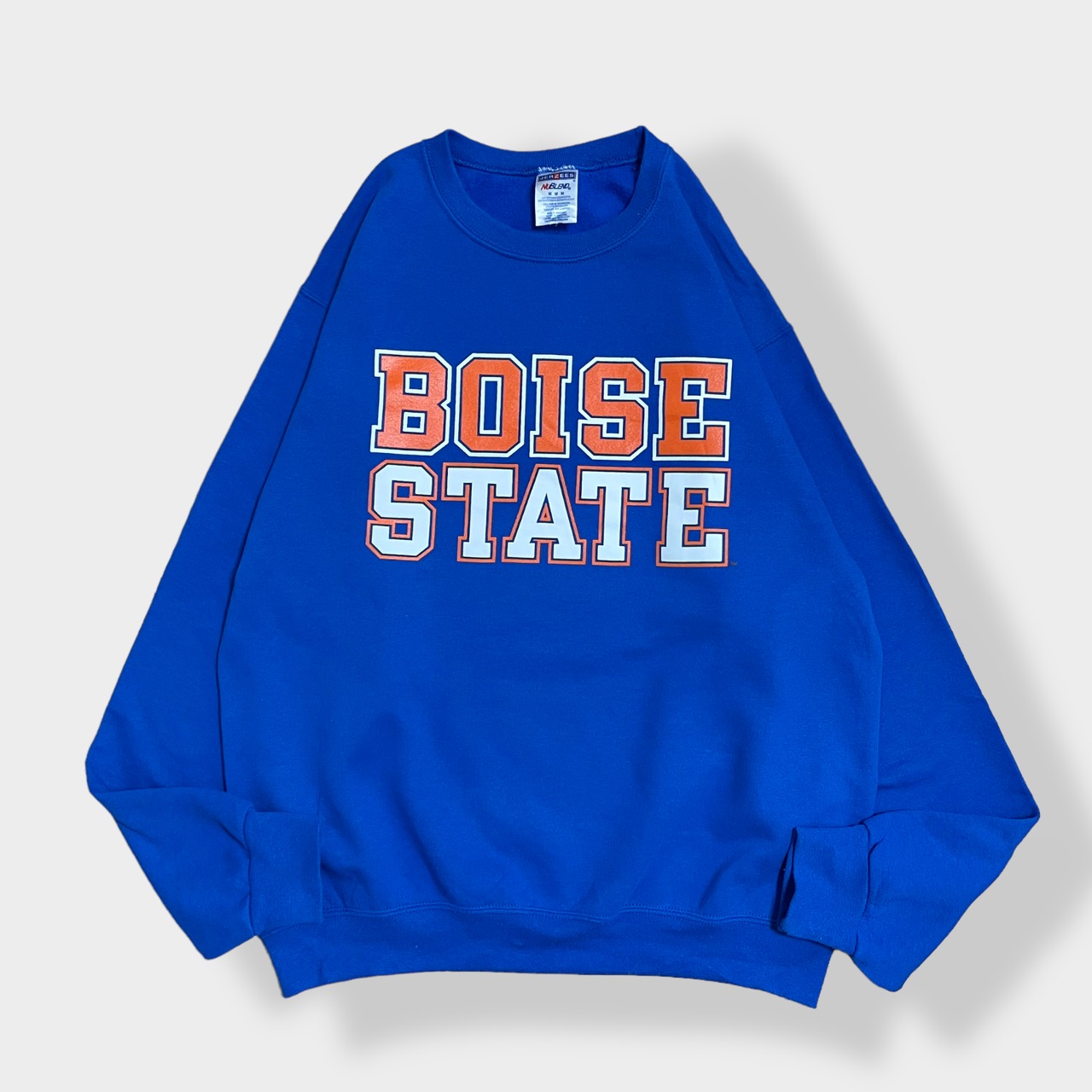 【JERZEES】カレッジ ロゴ ボイシ州立大学 BOIS STATE UNIVERSITY スウェットトレーナー プルオーバー ブルー M US古着