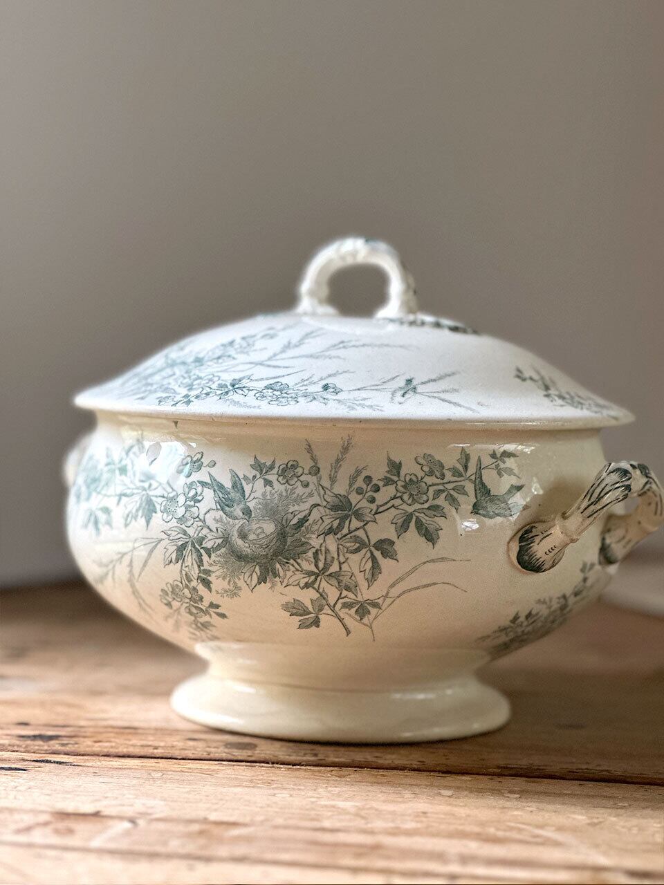 フランスアンティークJapy社小鳥とベリーのホーロースーピエールチューリーン フランスアンティークJapy社小鳥とベリーのホーロースーピエール