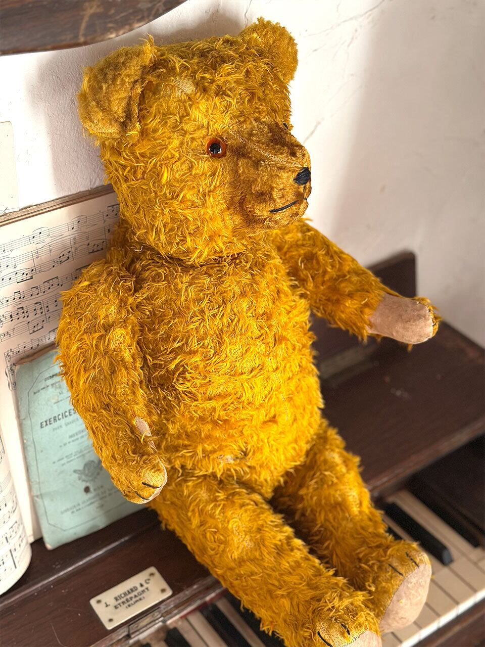 フランス　アンティーク　古い黄色のぬいぐるみ フランスアンティーク ぬいぐるみ”テディベア”.1 | Antiques Knock