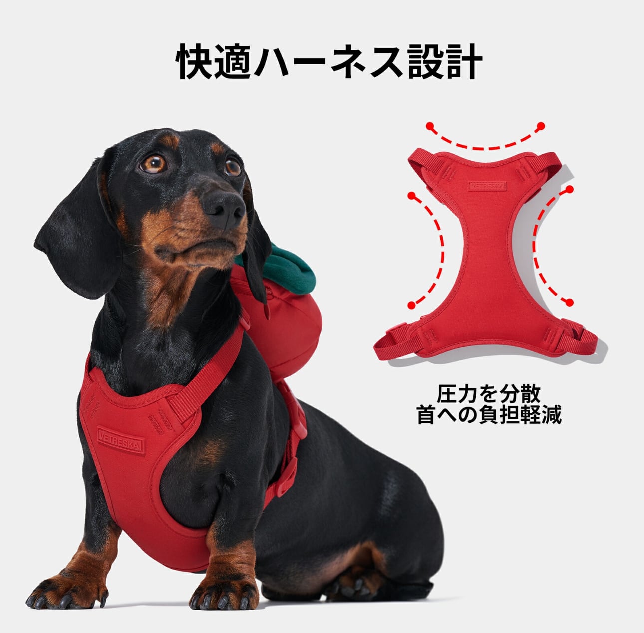 VETRESKA】いちごリュックハーネスリードセット | ペット用品