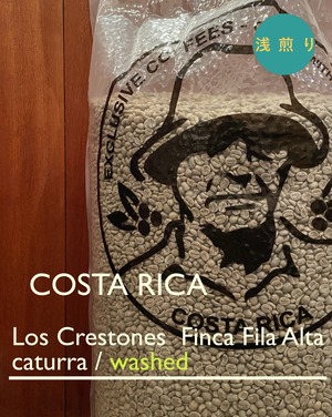 コスタリカ　浅煎り　100g