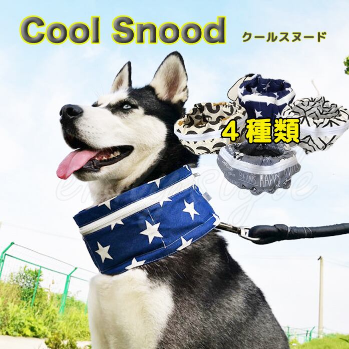 6086e203366f6a8df22dc5586943c2