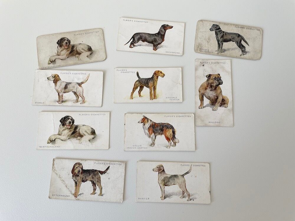 ❤️ popo 610②希少イギリスのイヌシガレットカード　12枚セット ❤️ popo 610②希少イギリスのイヌシガレットカード 12枚セット