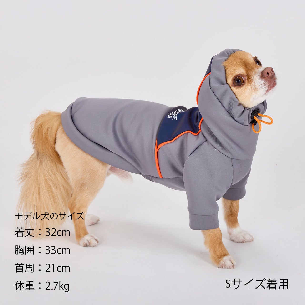 専用出品　meru様　3L2Lサイズ10kg 480c3e52f7db320987e69ca7cd4873