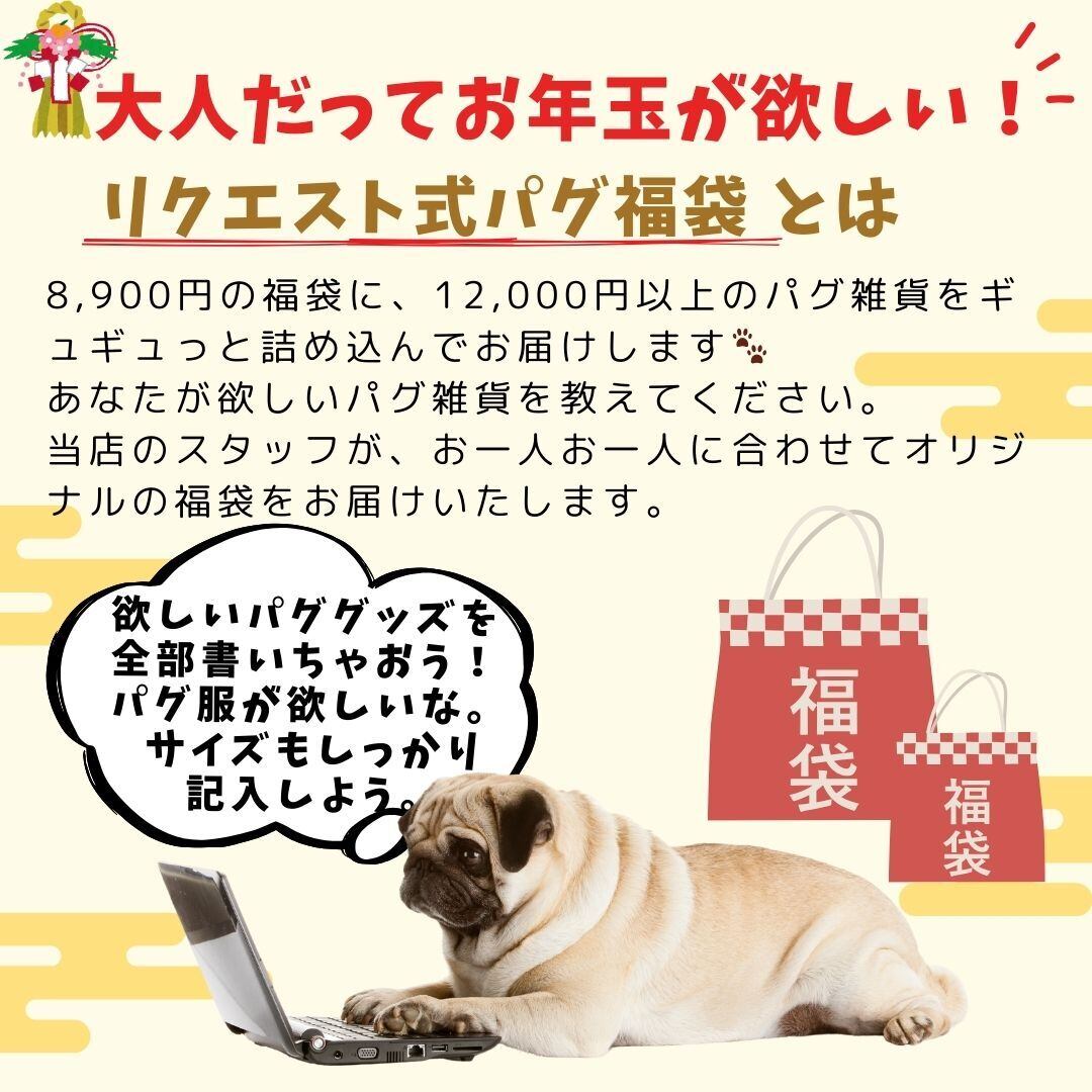 予約販売】パグ愛が爆発！パグさん福袋 2026 その弐 -happybag2 | Pug