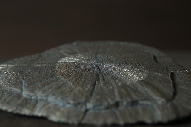 パイライトサン Pyrite Sun 1367