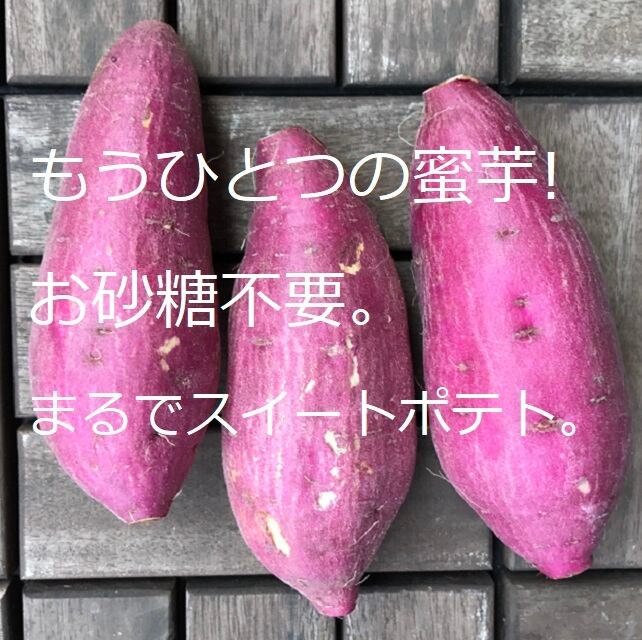 高糖度さつまいも 紅はるか 600g | GREENROOM tokyo