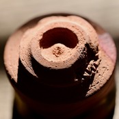 imi ceramics ぐい呑み  2104600000014
