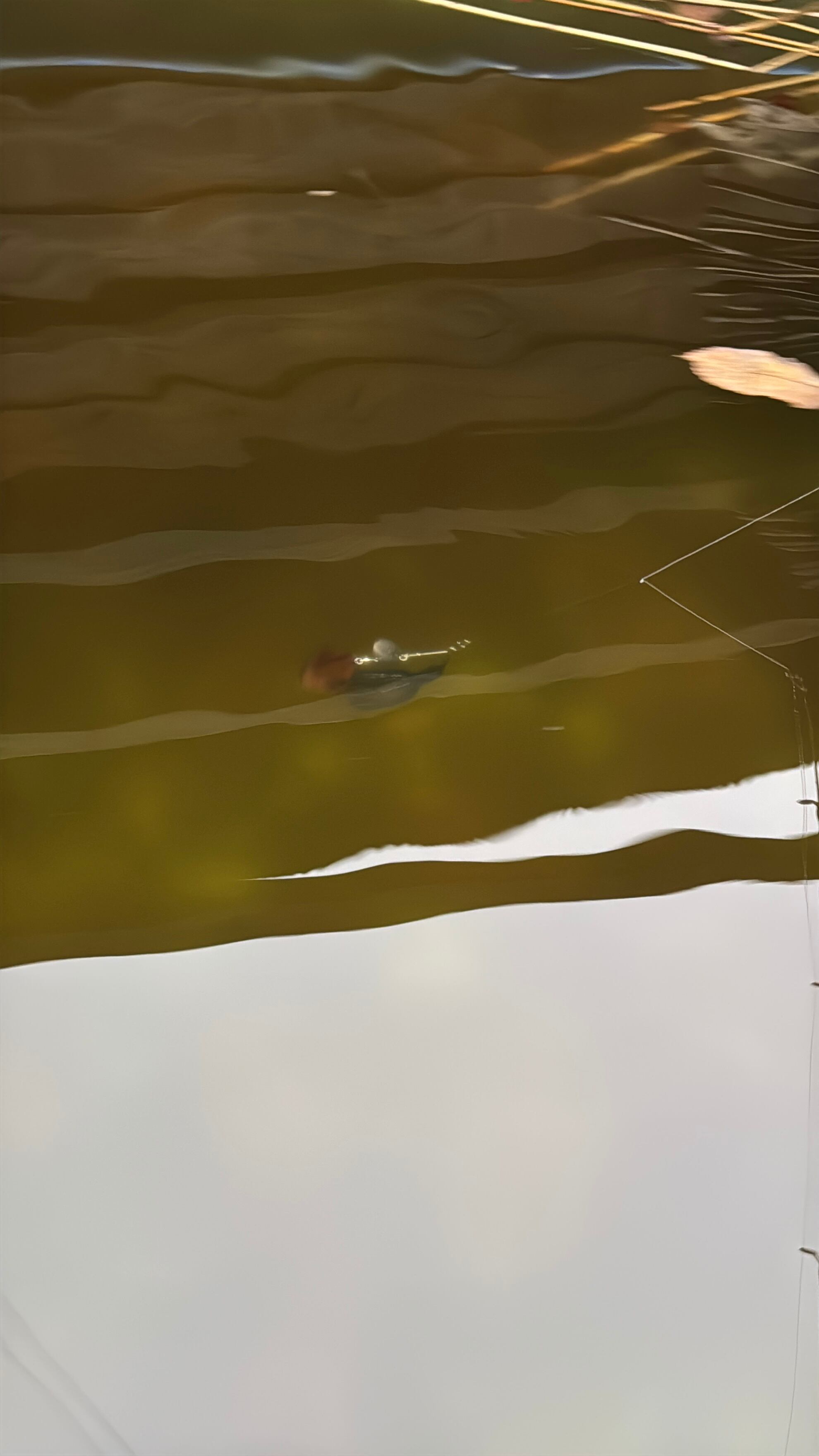 スピナーベイト用の黒檀ブレード