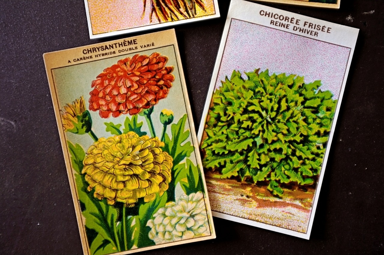 20s フランス 4set 膨満な花々と野菜たち 種子袋用ラベルm アンティーク
