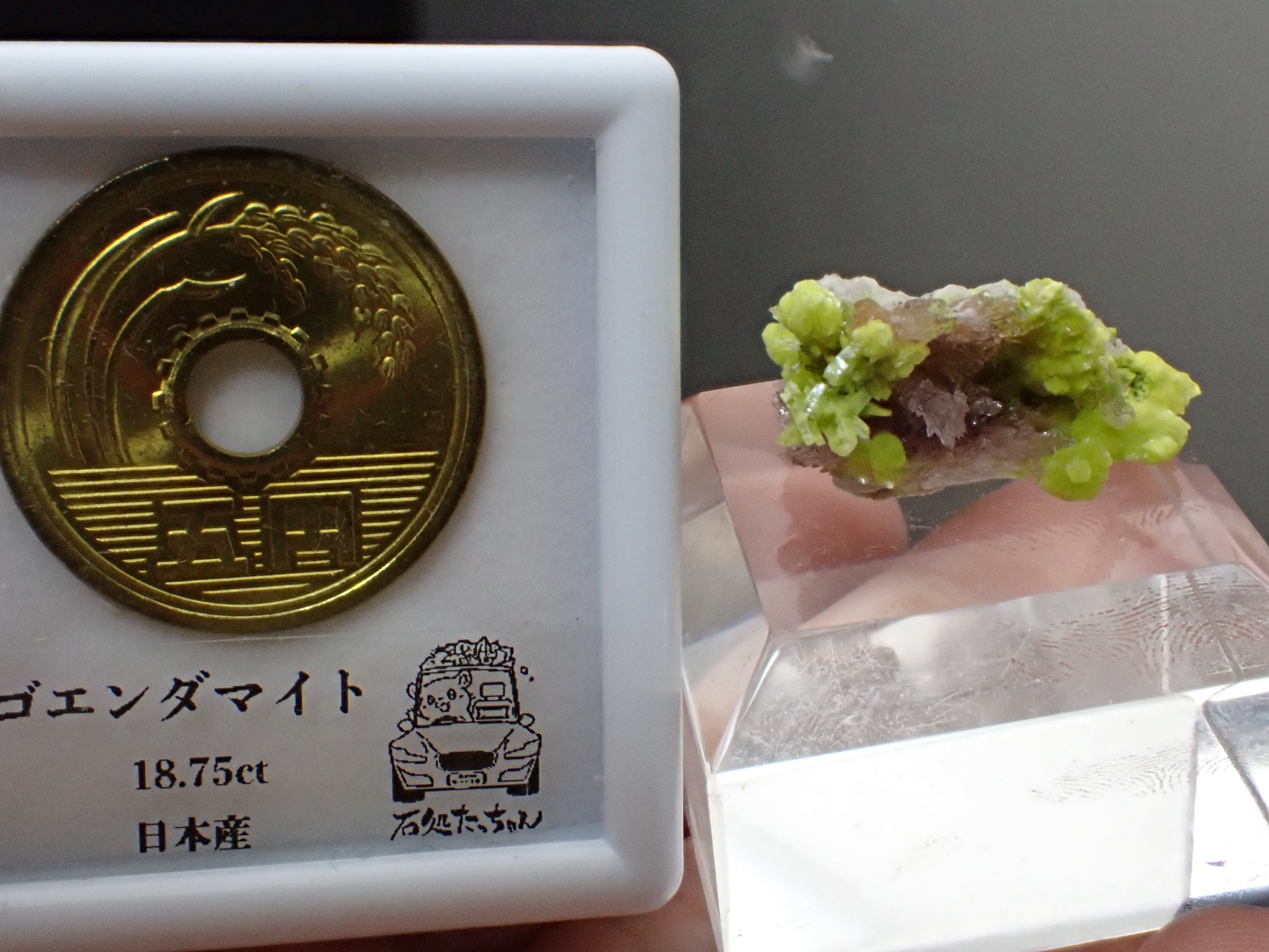 流通僅か】カールヒンツェアイト＆クリーダイト Carlhintzeite 原石