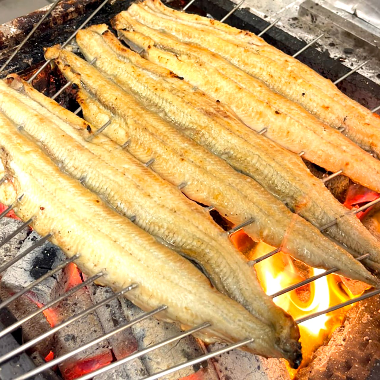 厳選うなぎ白焼き1尾＋肝焼き1パックセット | 京うな和本店