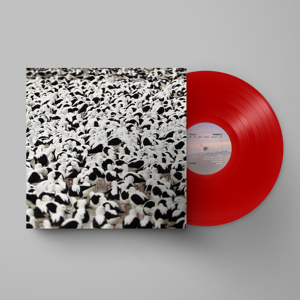 Stella Donnelly / Flood（Ltd Red LP）