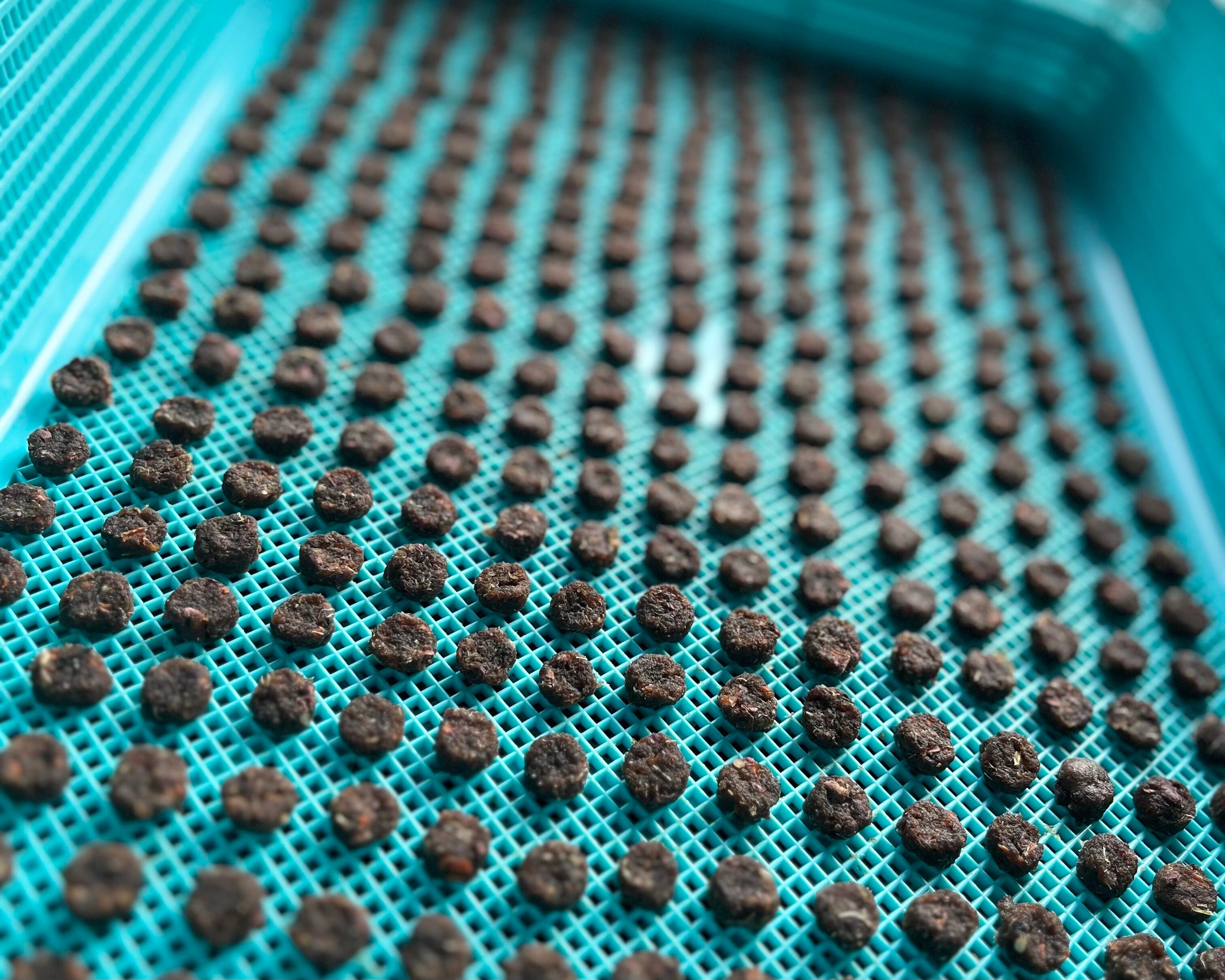 【オプション】大きさ・食材分量変更