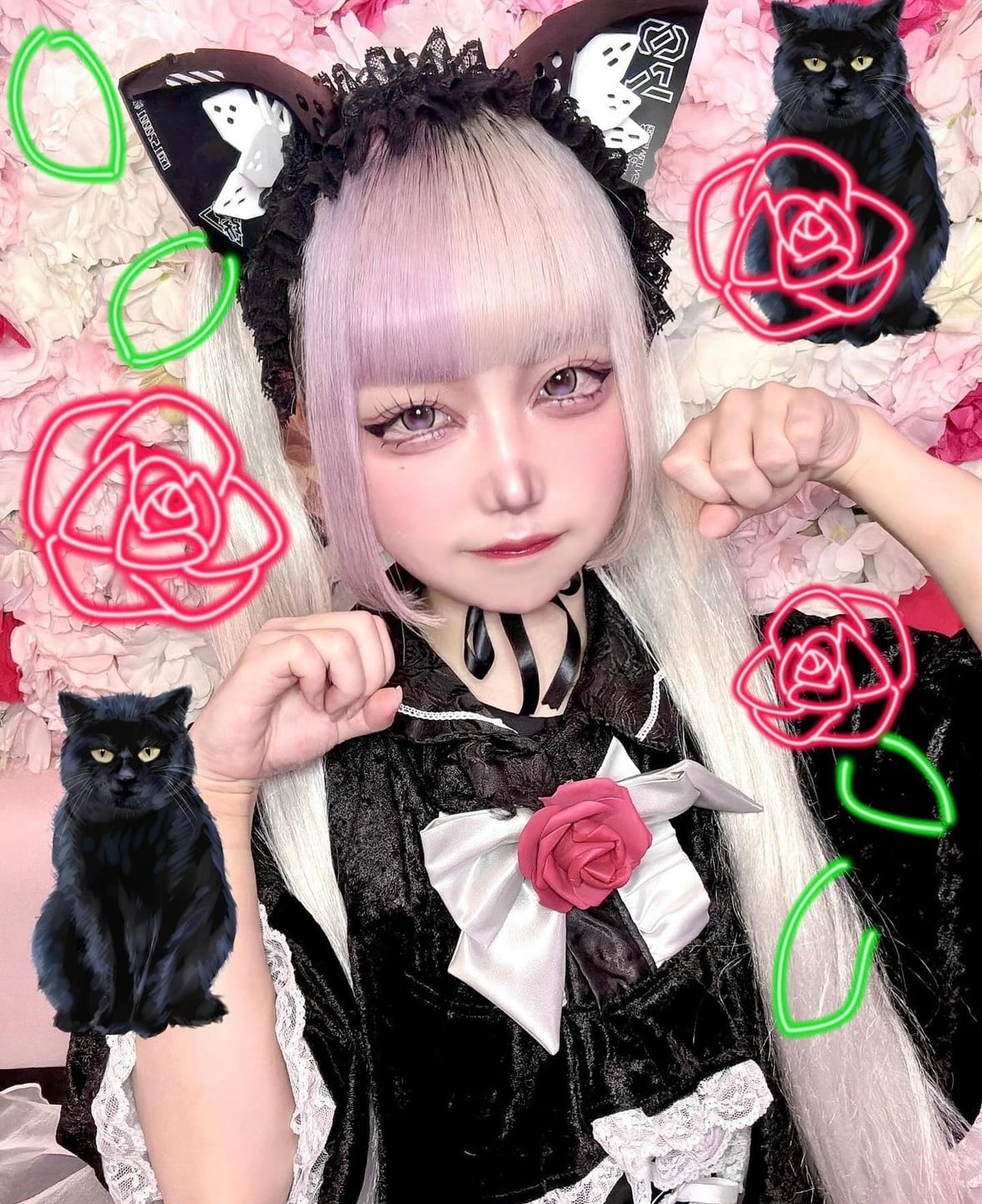 ユナイト ハク チェキ ユナイト ハク チェキ