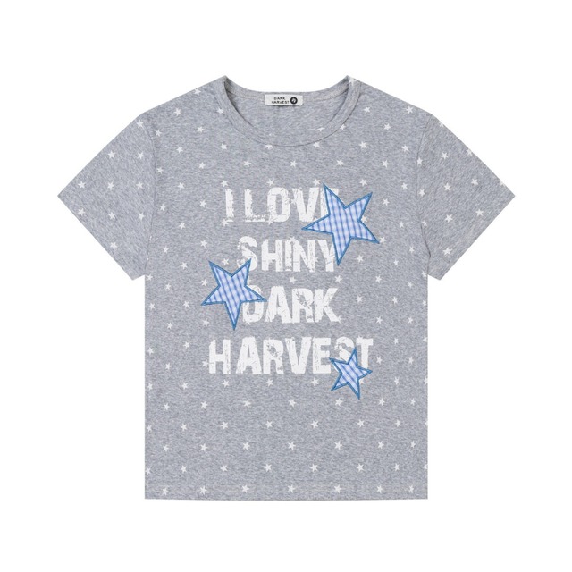 check star dot logo short-sleeve tee　チェックスタードットロゴ半袖ティー　J1823