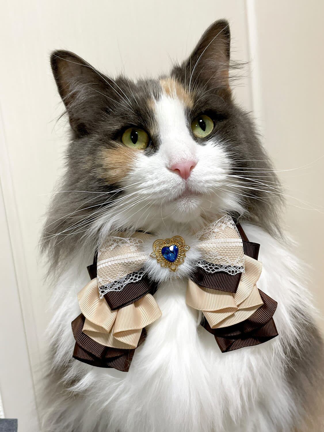 ☆ハートとリボンが素敵！フリル猫ちゃんチャーム☆ 【公式通販】