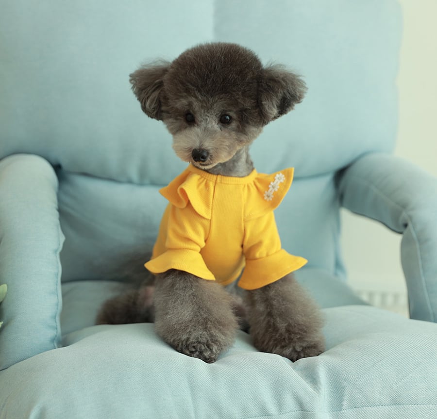 purina t-shirt S ~ XL 4color  /  犬服 秋冬 Tシャツ ブラウス 上品 可愛い ワンコ服 ストレッチ 犬の服 長袖 無地 ドッグウェア フリル シンプル ニット お揃い ハイネック 韓国ワンコ服 小型犬 中型犬