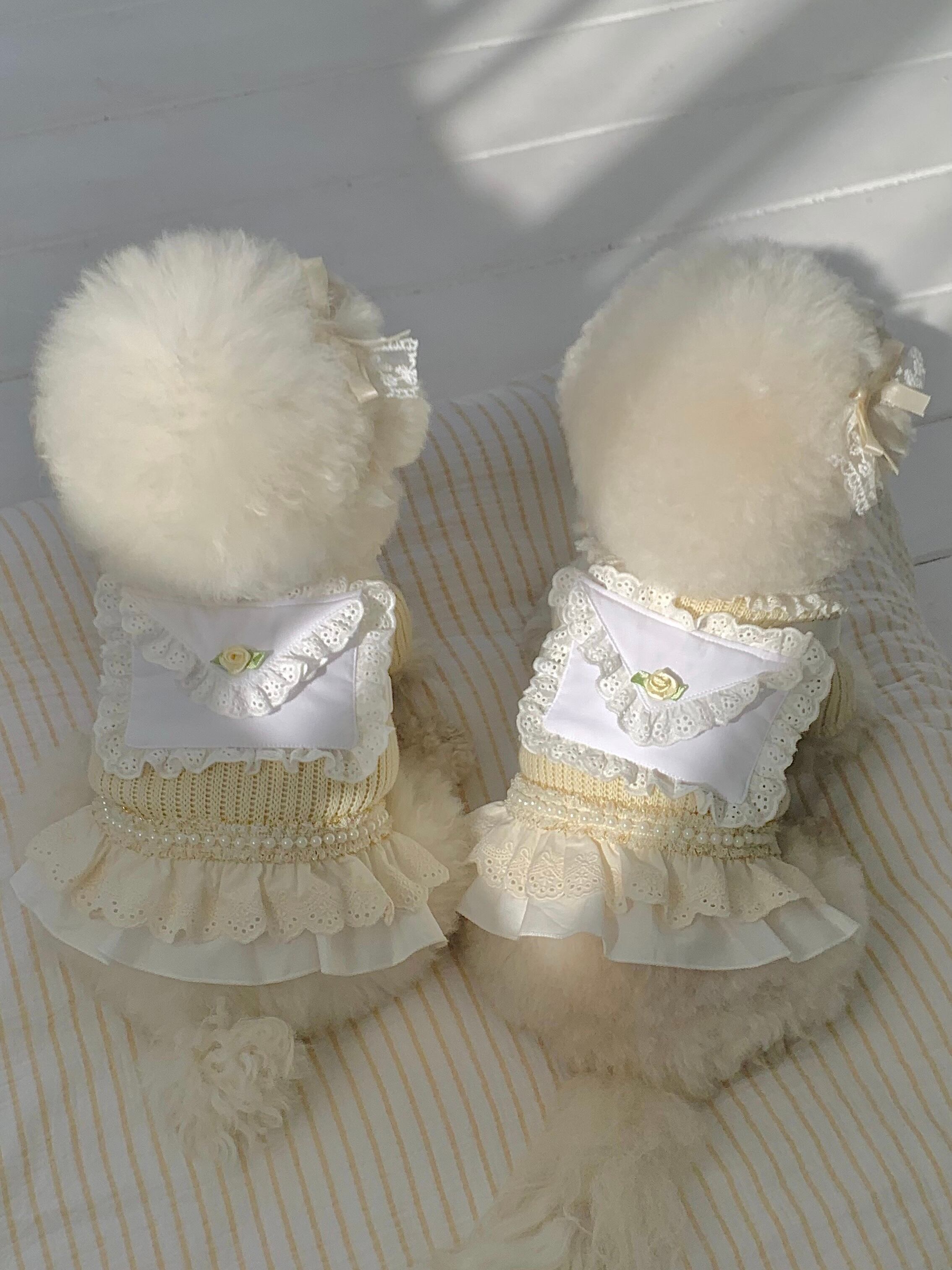 予約】SSFW メロウバッグ(グロッシーホワイト2size) | to be